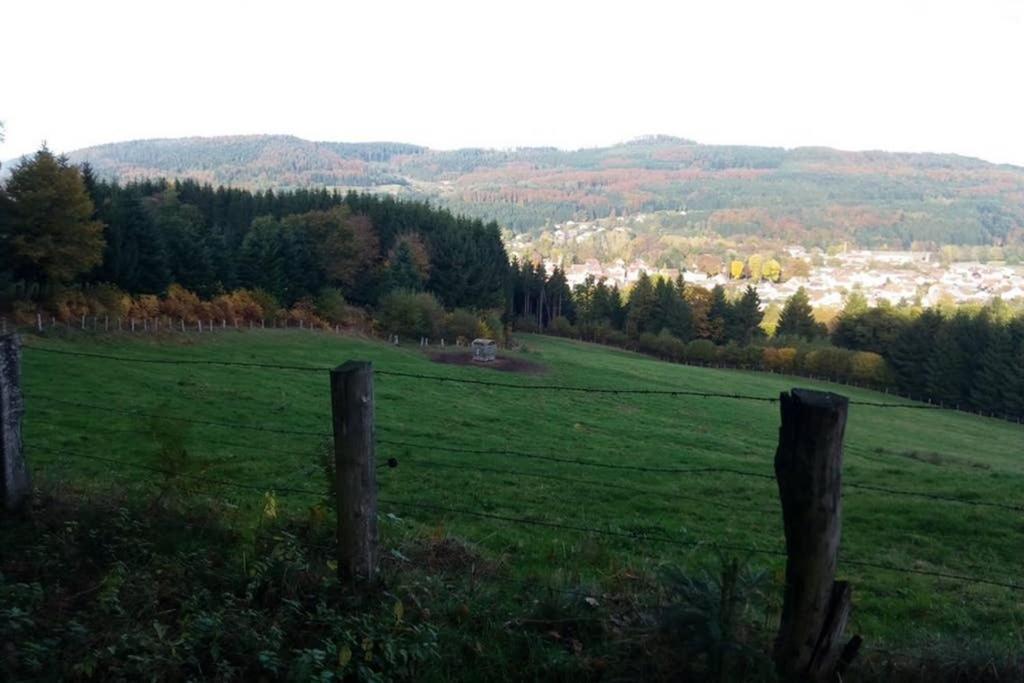 Maison Independ. 6 Personnes A 10 Mn De Gerardmer Granges-sur-Vologne Dış mekan fotoğraf