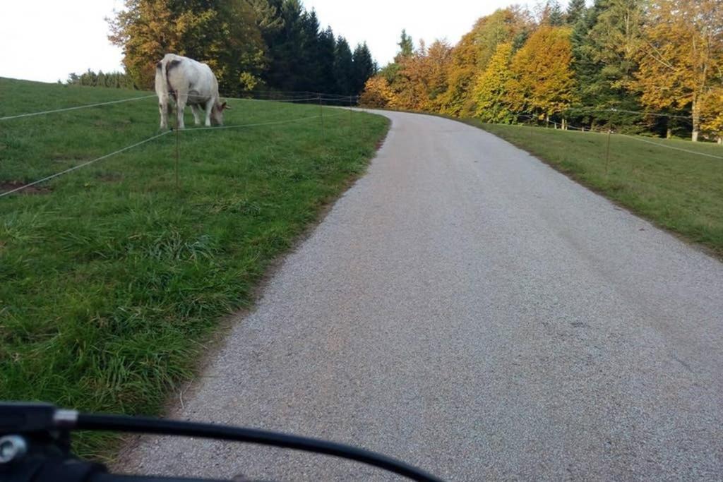 Maison Independ. 6 Personnes A 10 Mn De Gerardmer Granges-sur-Vologne Dış mekan fotoğraf